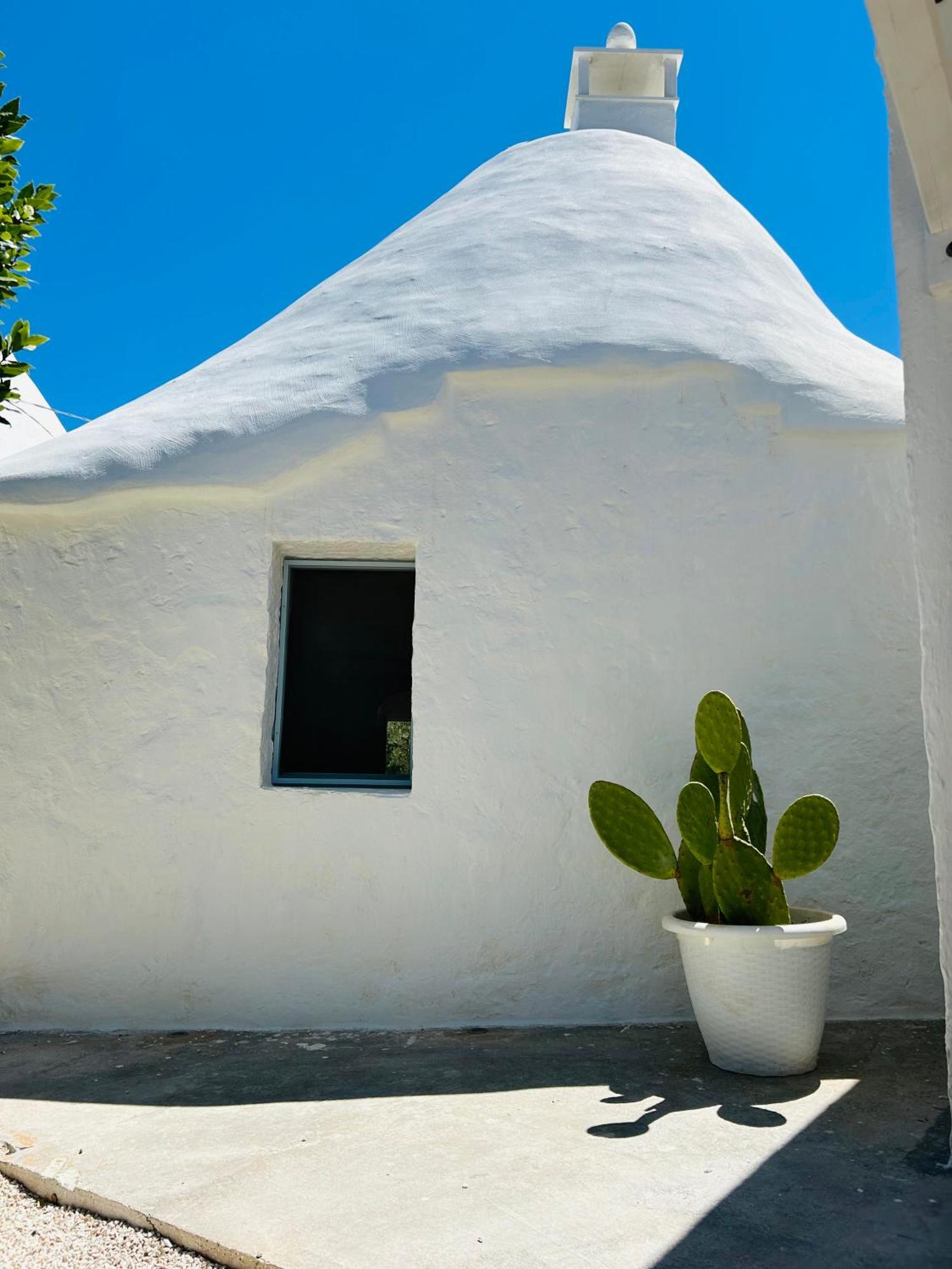 Trulli In Contrada - Monopoli旅馆 外观 照片