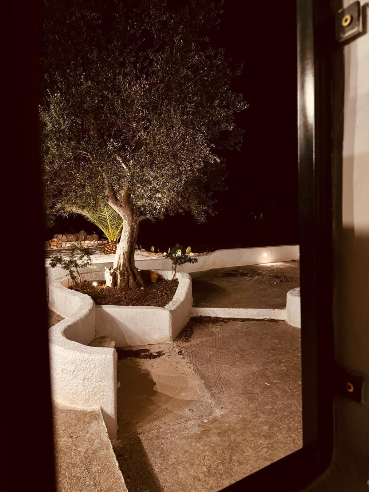 Trulli In Contrada - Monopoli旅馆 外观 照片
