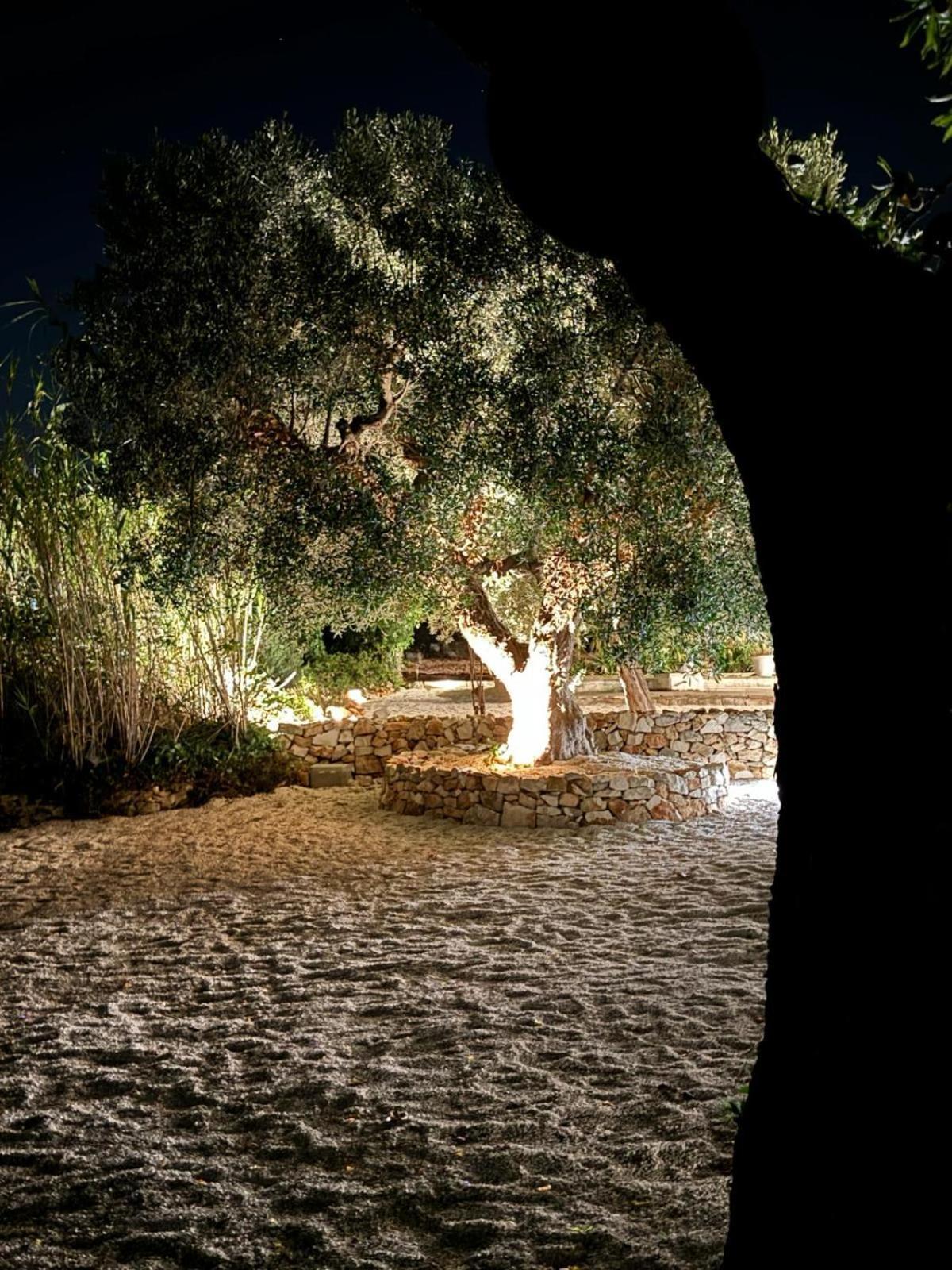 Trulli In Contrada - Monopoli旅馆 外观 照片